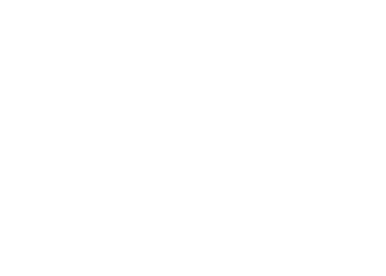 Logo Angaisa